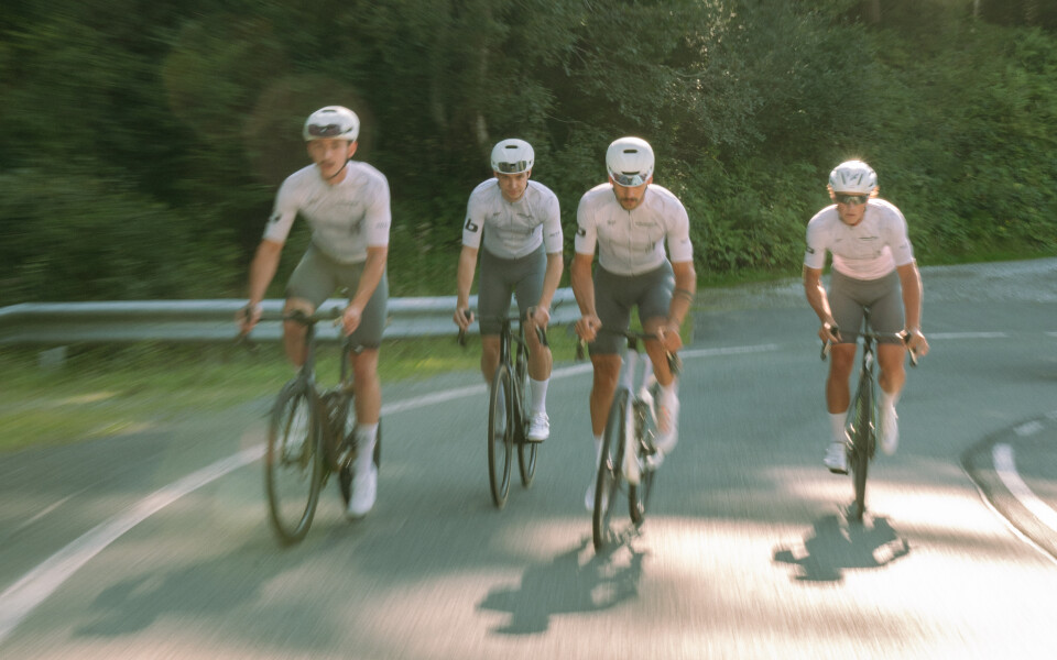 Vier Radfahrer fahren auf einer kurvenreichen Straße durch einen grünen Wald bergauf; Rennradfahren.