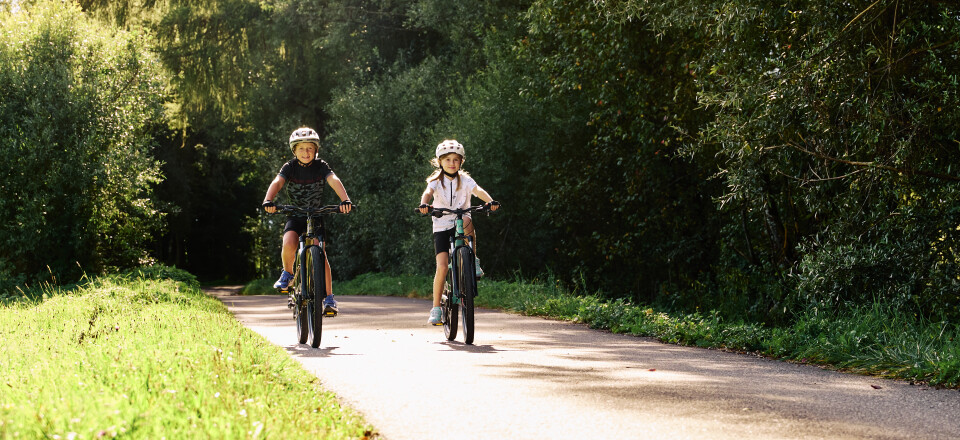 Zwei Kinder fahren an einem sonnigen Tag auf einem asphaltierten Weg durch eine grüne Parklandschaft Fahrrad.